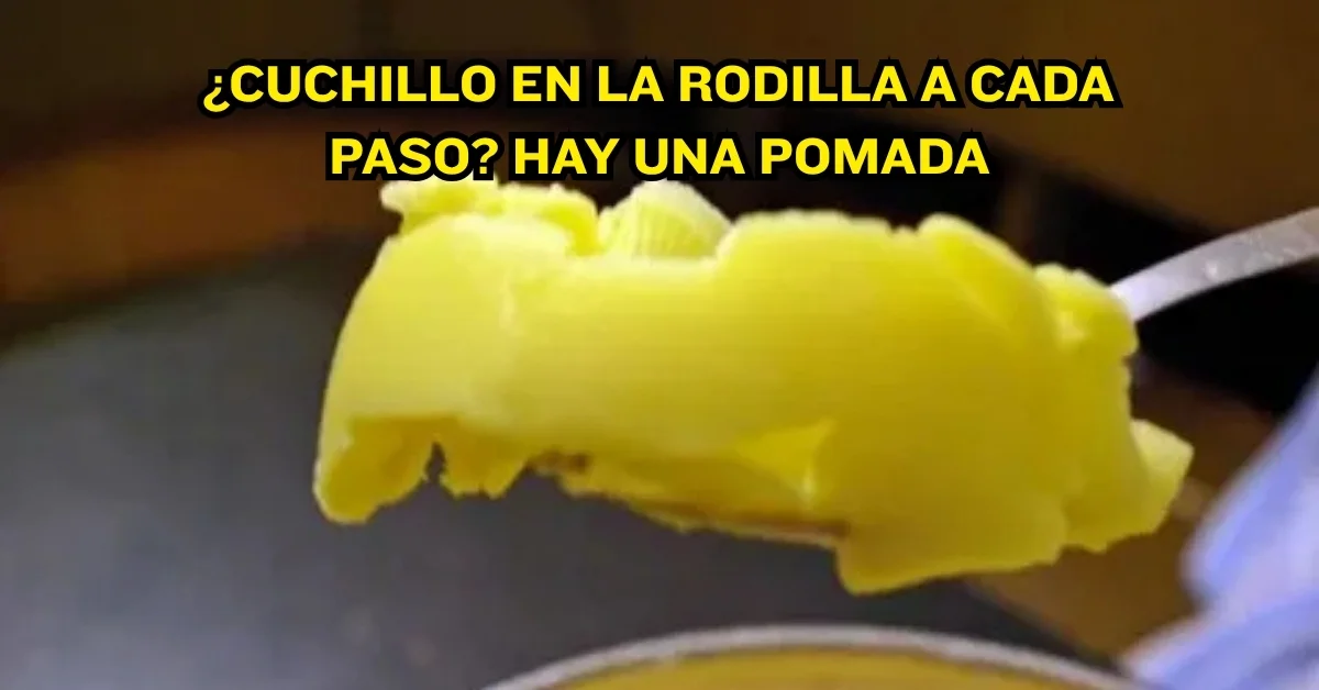 Historias de éxito y testimonios